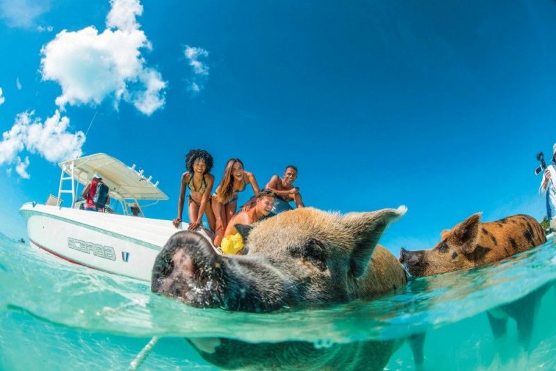 Twenty Things to Know Before Traveling to the Bahamas9