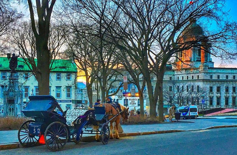 Quebec City JCohn